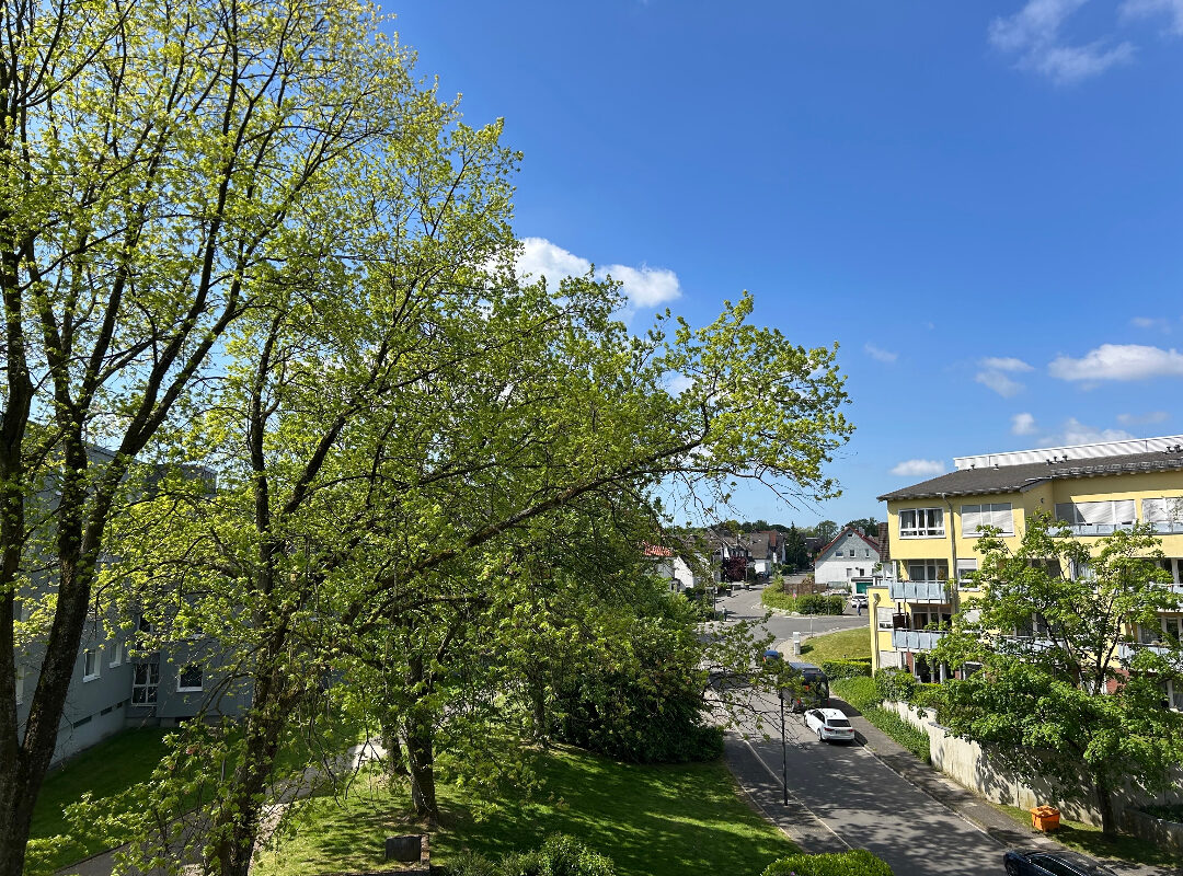 Bild zum Angebot: Gemütliche Wohnung mit zwei Balkonen und toller Aussicht