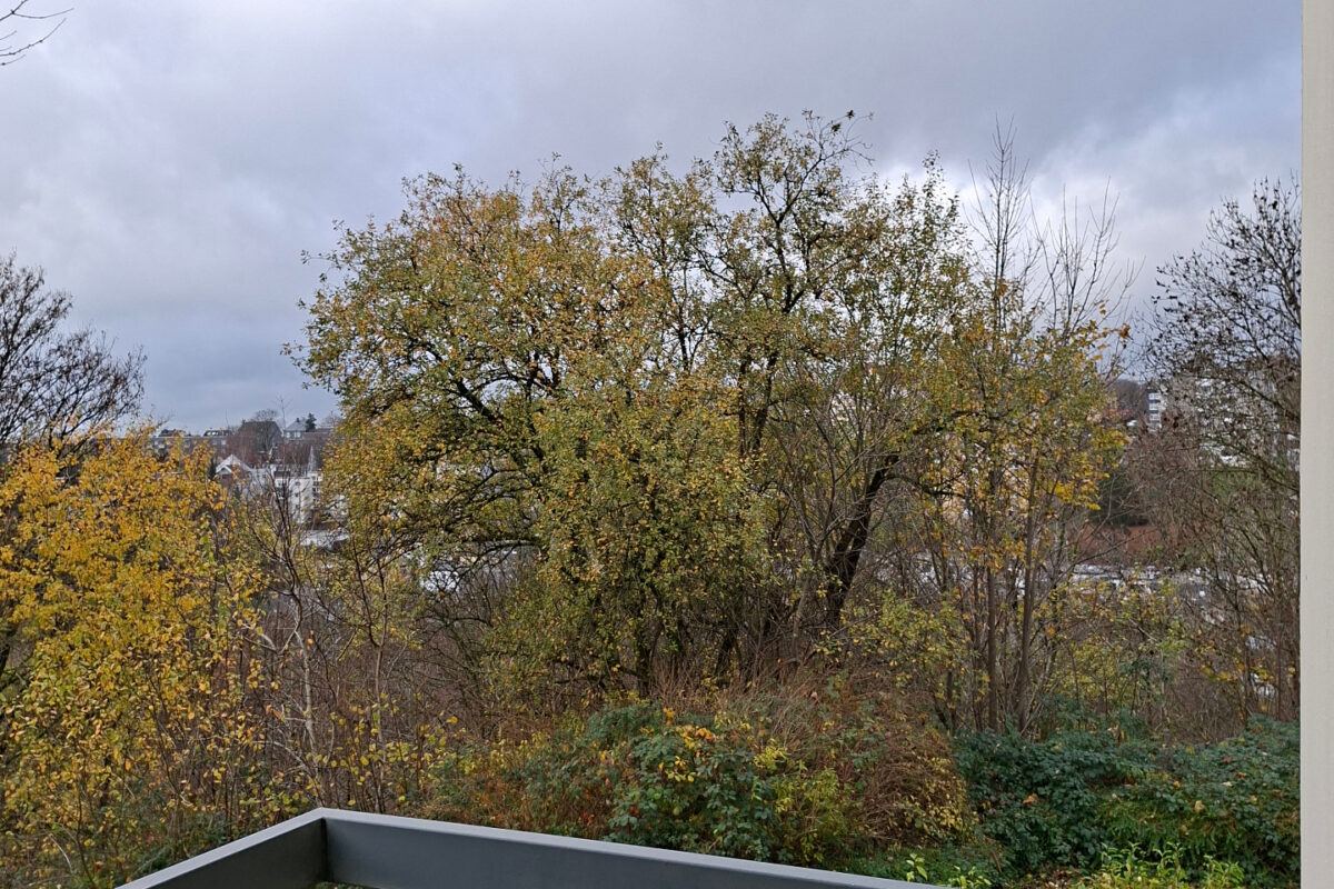 Bild zum Angebot: preisvergünstigte Wohnung mit guter Aufteilung in schöner Lage mit WBS