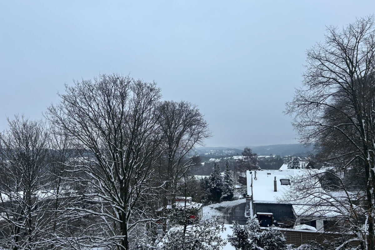 Bild zum Angebot: Ein Zuhause für die ganze Familie!