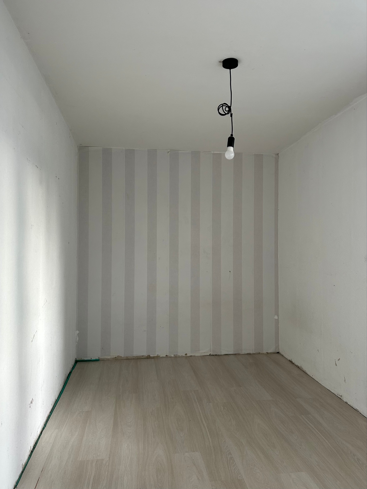 Bild zum Angebot: Gemütliche Wohnung – ideal für Paare oder kleine Familien