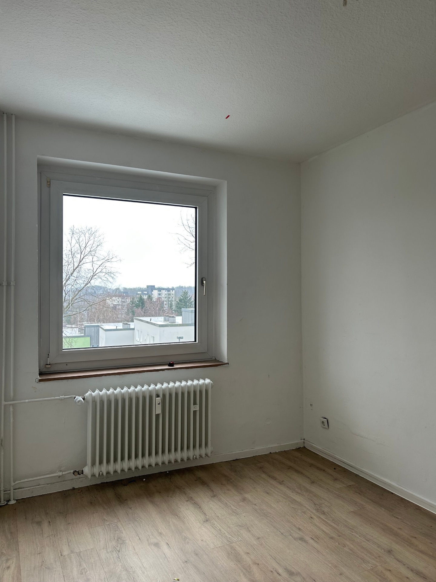 Bild zum Angebot: Großzügig und modern am Hasenberg