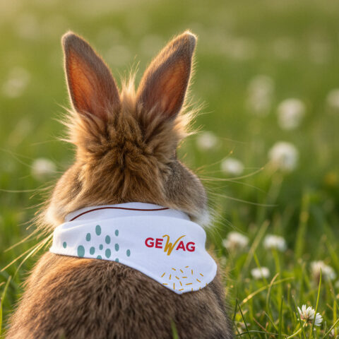 Gewag-Ostermotiv-ver1