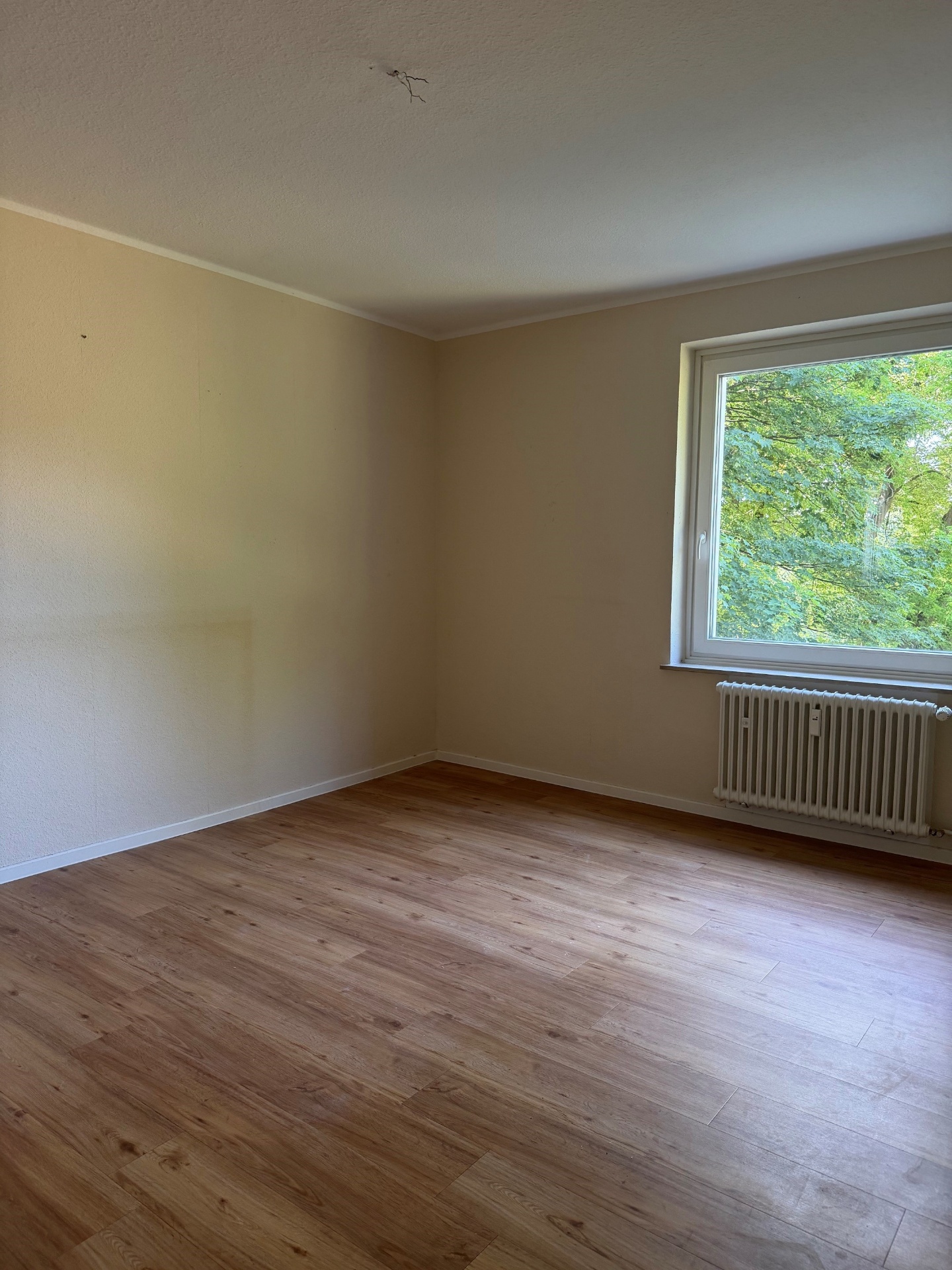 Bild zum Angebot: Ihr neues Zuhause am Hasenberg