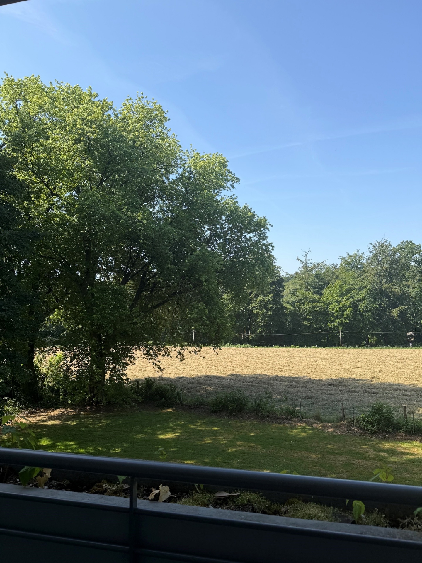 Bild zum Angebot: Ihr neues Zuhause am Hasenberg