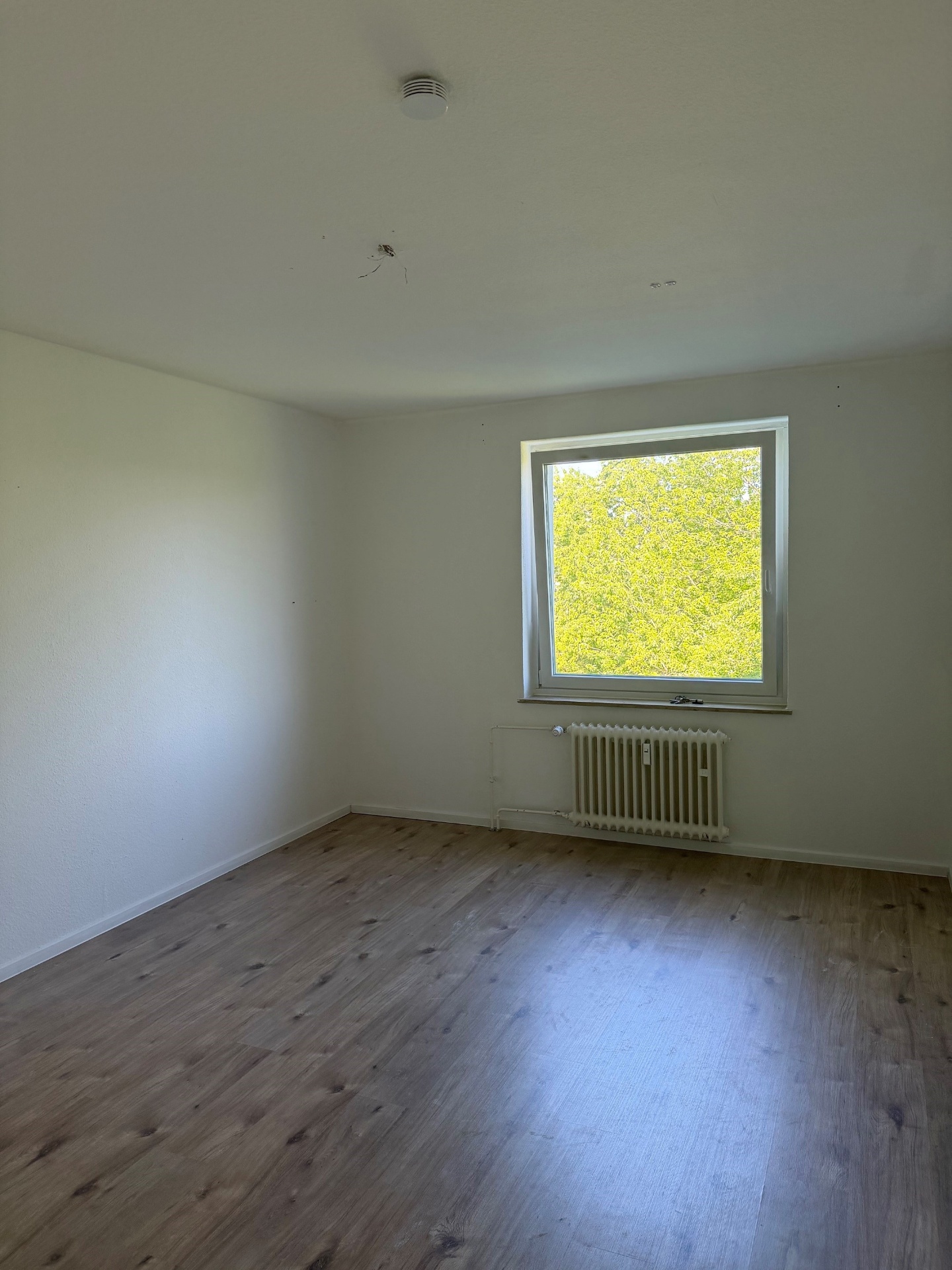 Bild zum Angebot: Sehr helle & freundliche Wohnung am Hasenberg!