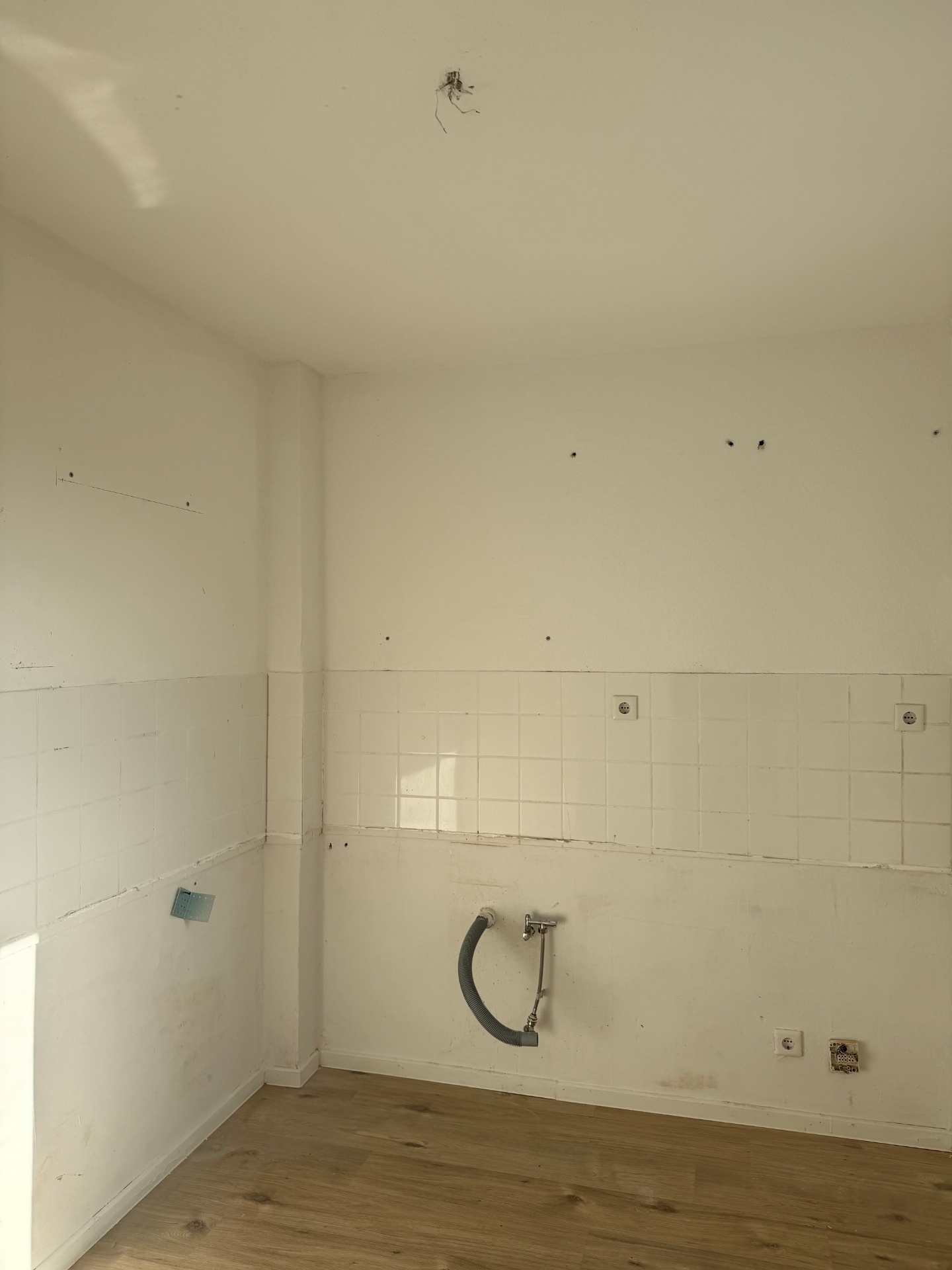 Bild zum Angebot: Sehr helle & freundliche Wohnung am Hasenberg!
