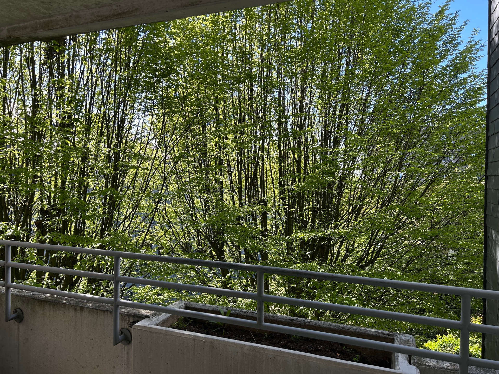 Bild zum Angebot: Geräumige Wohnung mit Balkon in zentraler Lage