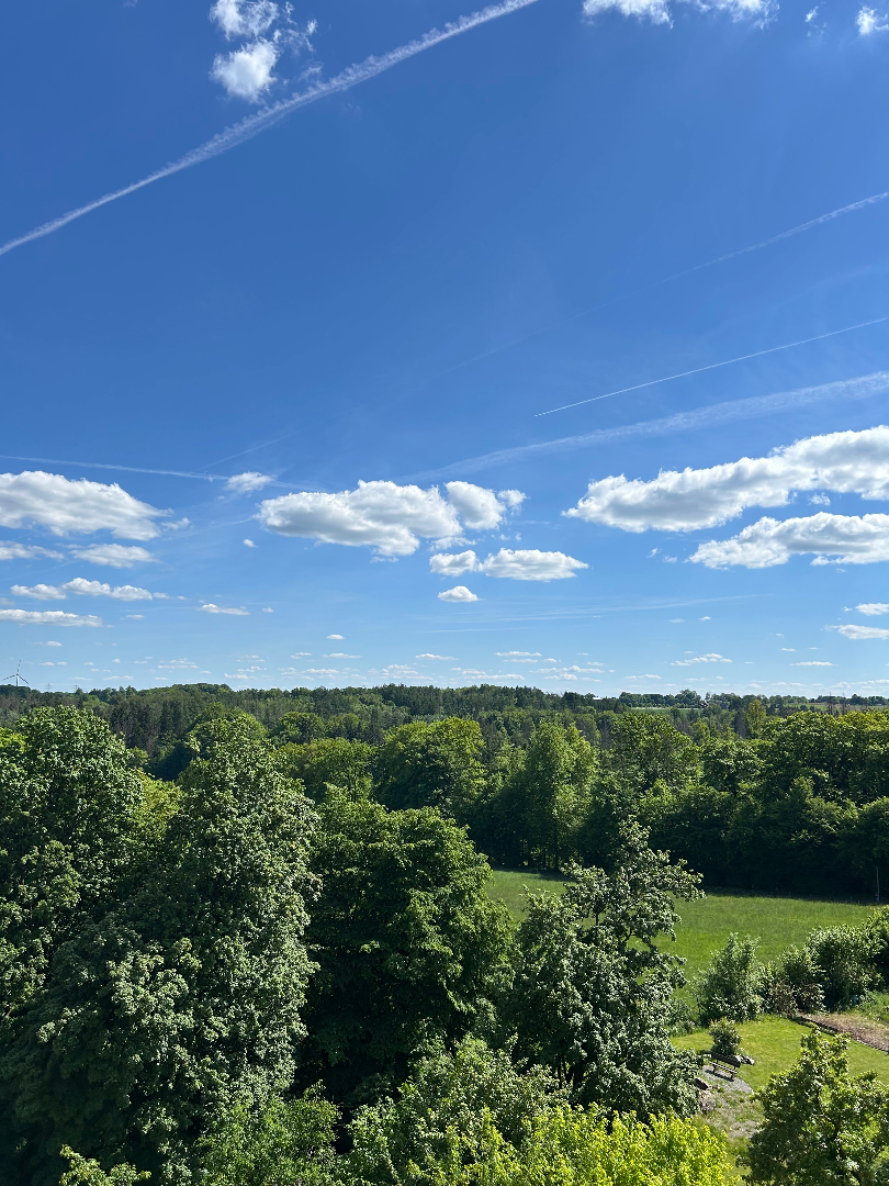 Bild zum Angebot: Tolle Aussicht vom Südbalkon bis zur Panzertalsperre