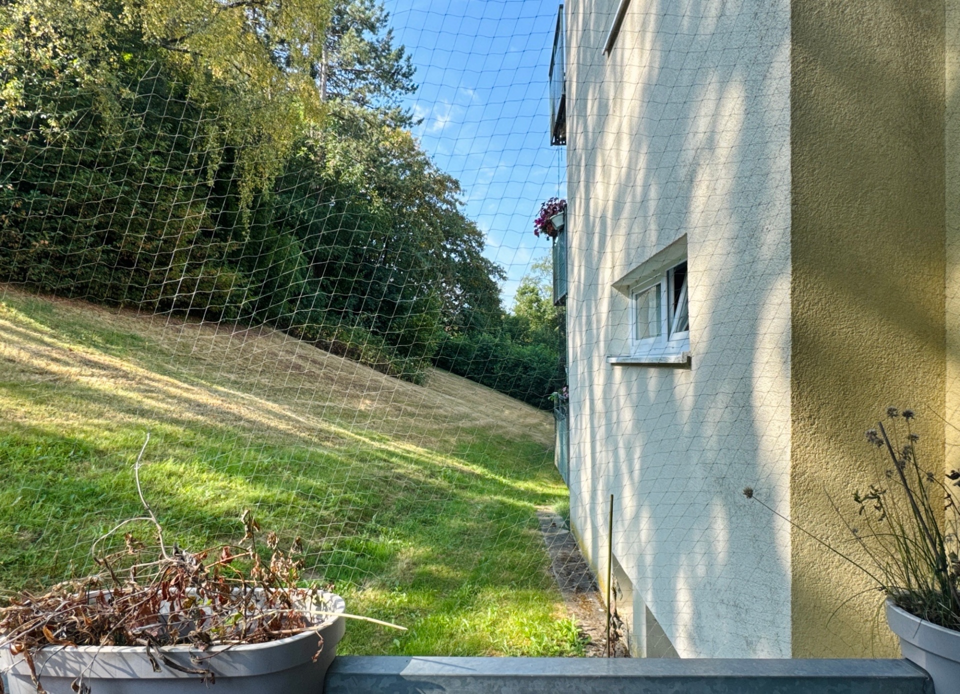 Bild zum Angebot: Moderne Wohnung mit Balkon